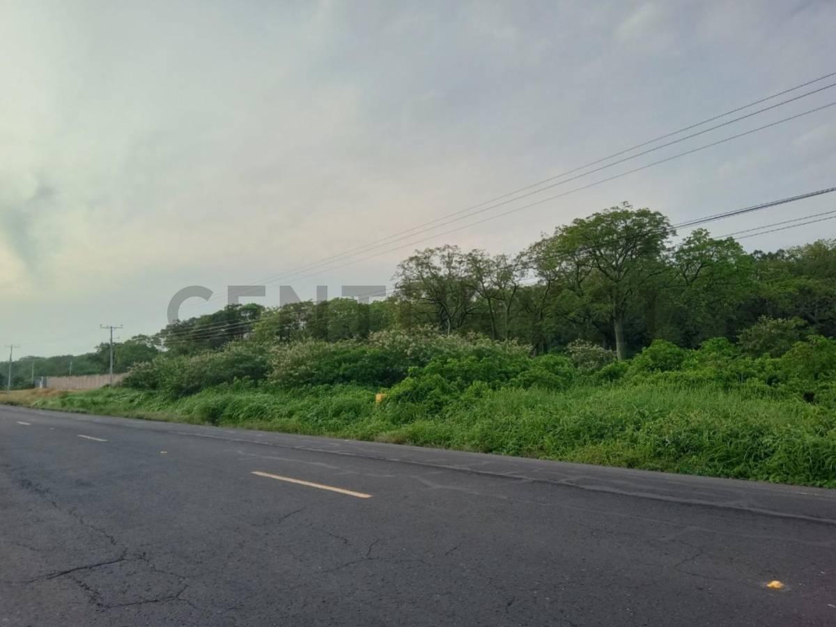 Se Venden 23.95 Hectáreas con Uso de Suelo Industrial en Ingreso Manta Jaramijó, Manabí — imagen 4