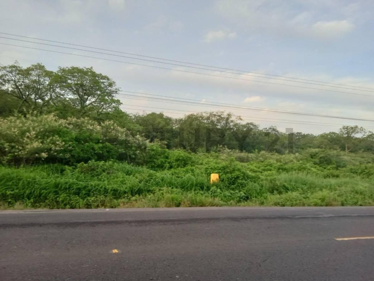 Se Venden 23.95 Hectáreas con Uso de Suelo Industrial en Ingreso Manta Jaramijó, Manabí — imagen 3