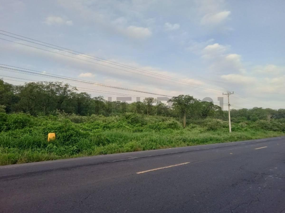 Se Venden 23.95 Hectáreas con Uso de Suelo Industrial en Ingreso Manta Jaramijó, Manabí — imagen 2