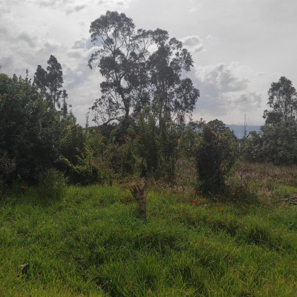 Inversionistas, Constructores, Tumbaco, Zona Central, Terreno Plano 6500 m², Papeles en Regla — imagen 9