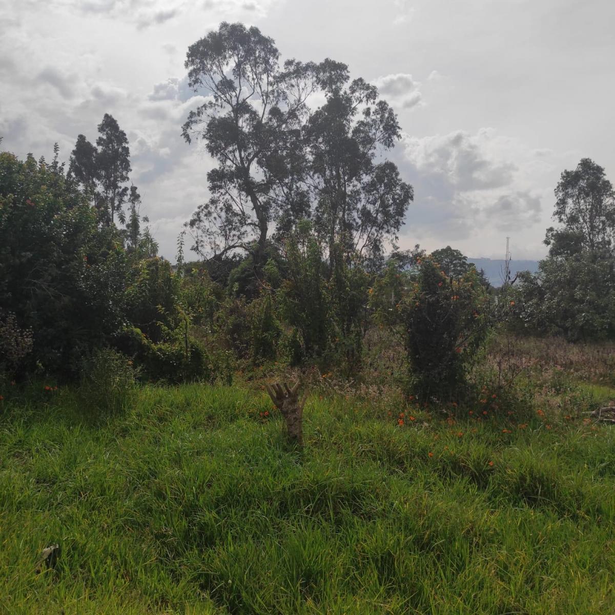 Inversionistas, Constructores, Tumbaco, Zona Central, Terreno Plano 6500 m², Papeles en Regla — imagen 8