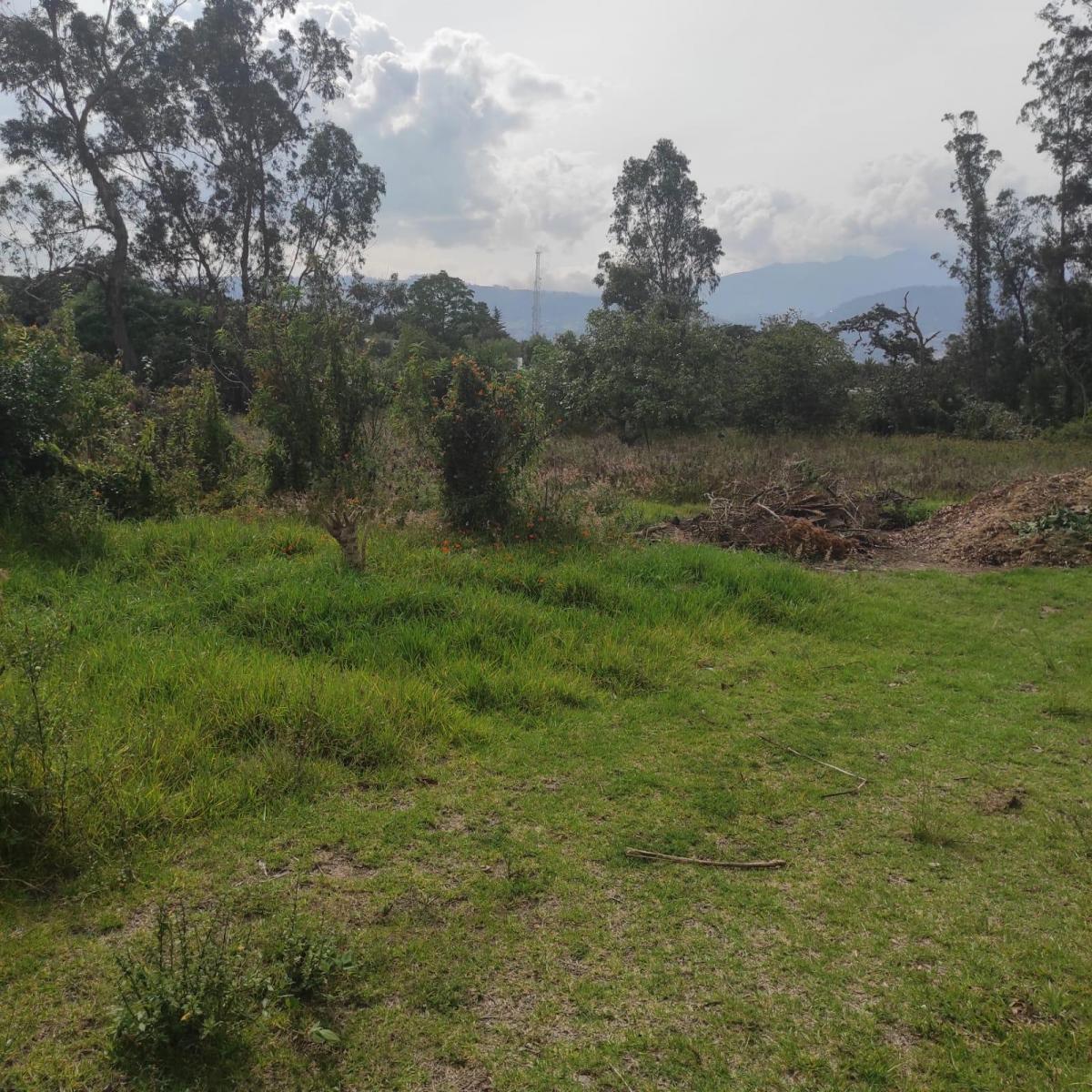 Inversionistas, Constructores, Tumbaco, Zona Central, Terreno Plano 6500 m², Papeles en Regla — imagen 7