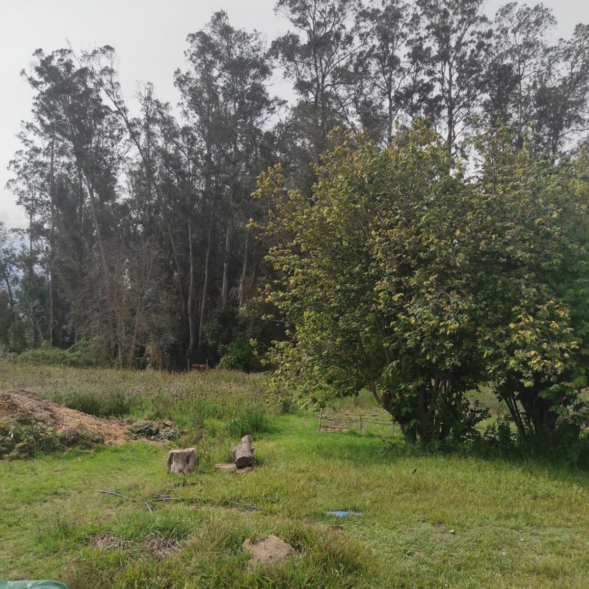 Inversionistas, Constructores, Tumbaco, Zona Central, Terreno Plano 6500 m², Papeles en Regla — imagen 6