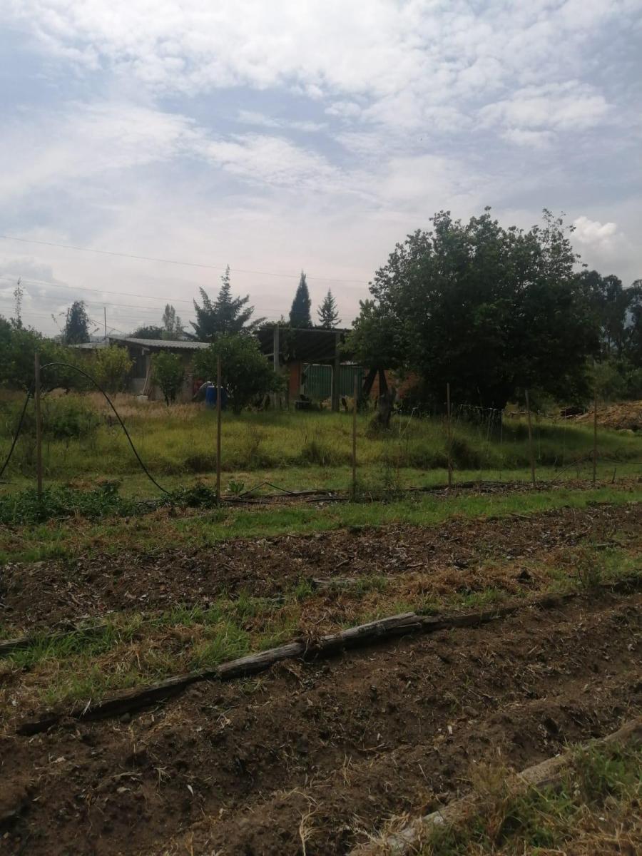 Inversionistas, Constructores, Tumbaco, Zona Central. Terreno Plano 6500 m², Papeles en Regla — imagen 3