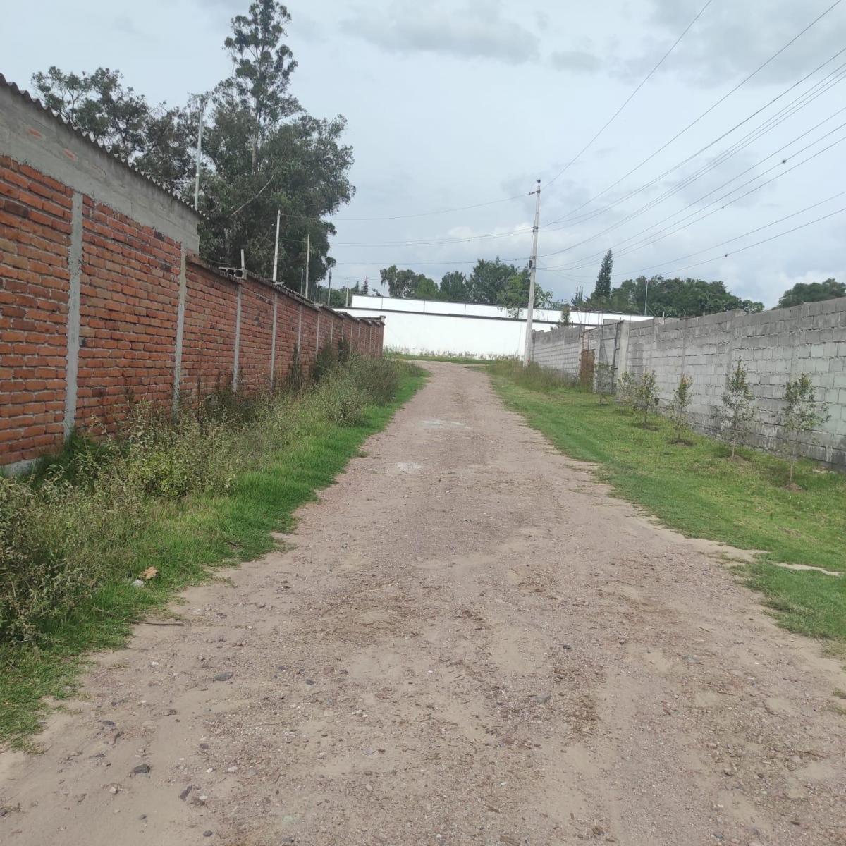 Inversionistas, Constructores, Tumbaco, Zona Central. Terreno Plano 6500 m², Papeles en Regla — imagen 2