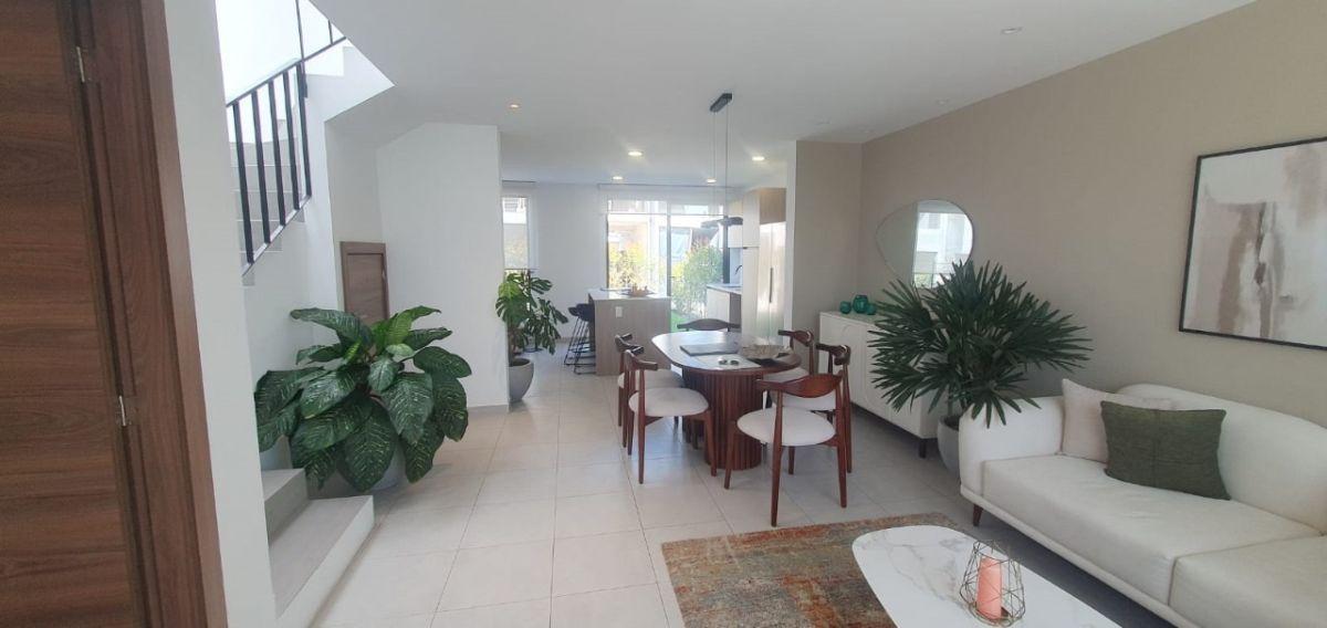 Casa a Estrenar en Tumbaco, Tres Habitaciones, con Jardín, Sala Familiar y Áreas Comunales Tipo Club — imagen 7