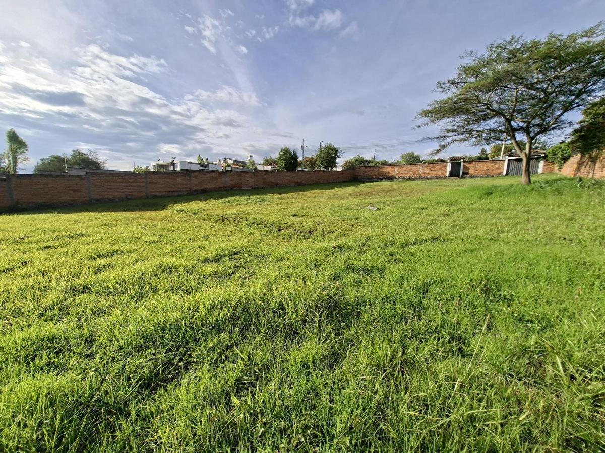 Vendo Hermoso Terreno La Morita Ideal Para Proyecto Inmobiliario — imagen 4