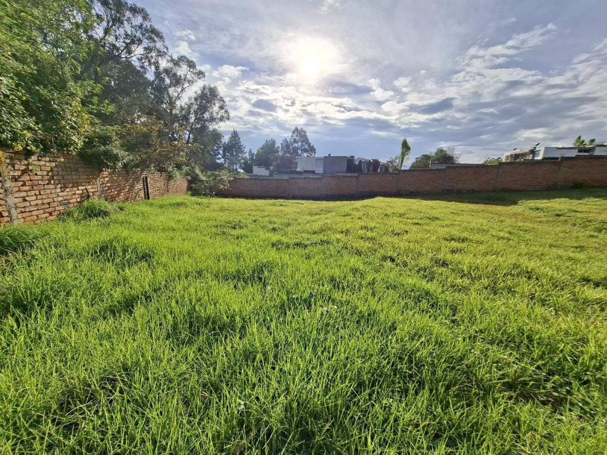 Vendo Hermoso Terreno La Morita Ideal Para Proyecto Inmobiliario — imagen 2