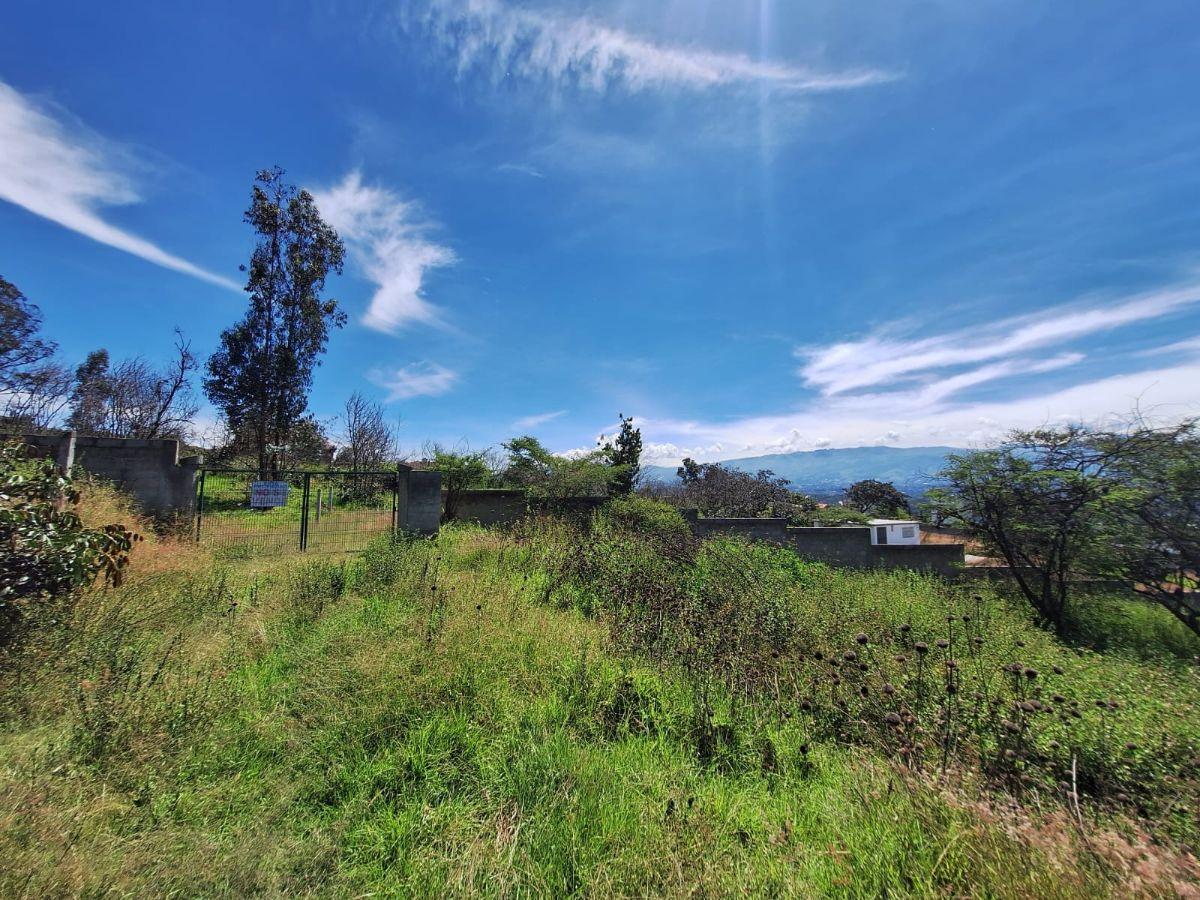 Venta Terreno en Nayon 8716 m² — imagen 8
