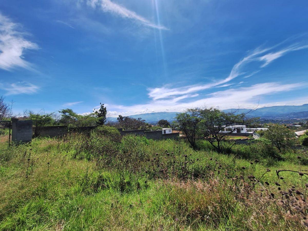 Venta Terreno en Nayon 8716 m² — imagen 7