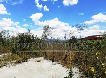 Renta de Terreno 5.231 m² Sector Llano Grande — imagen 2