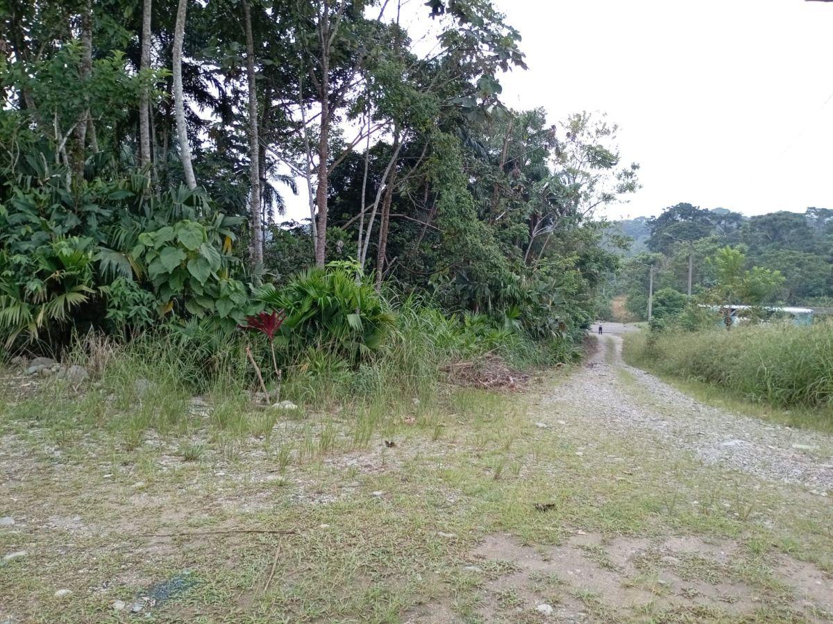 Terreno en Venta Sector Turístico Parroquia Pano - Tena, Napo — imagen 7