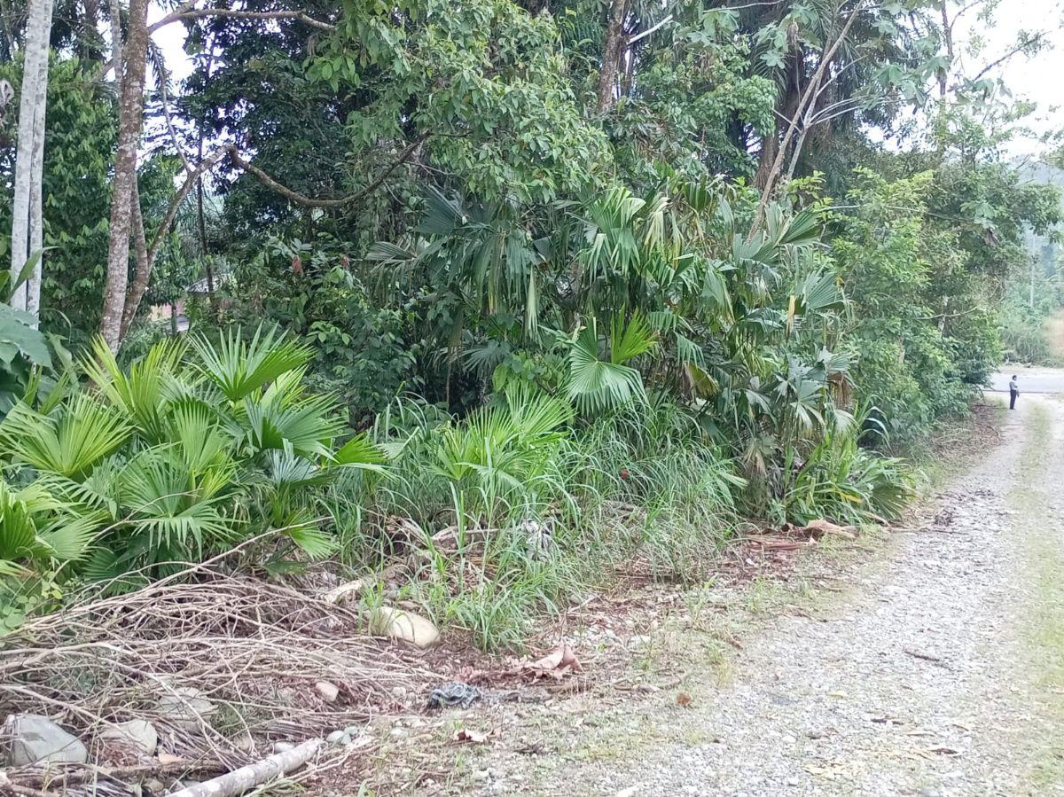 Terreno Turístico en La Ciudad de Tena, Napo — imagen 5