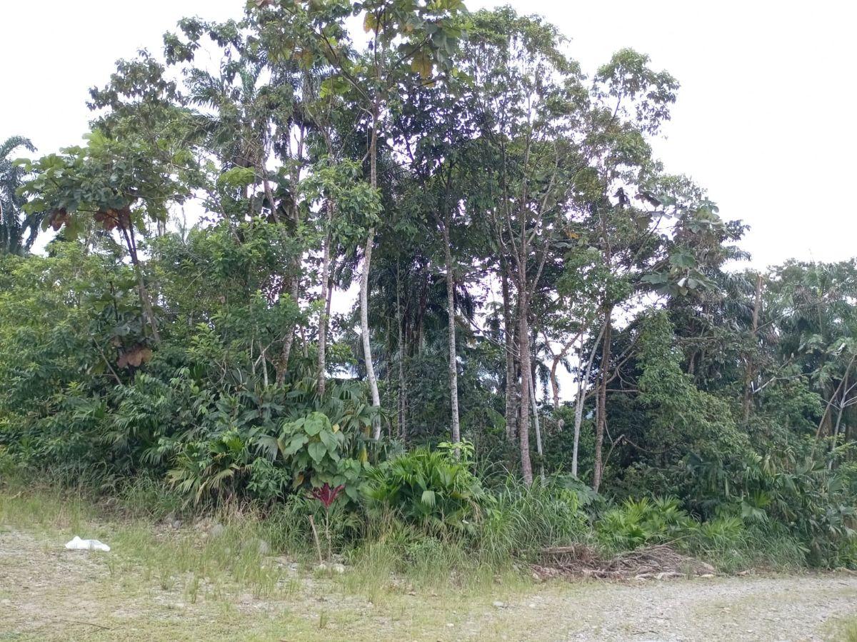 Terreno Turístico en La Ciudad de Tena, Napo — imagen 4