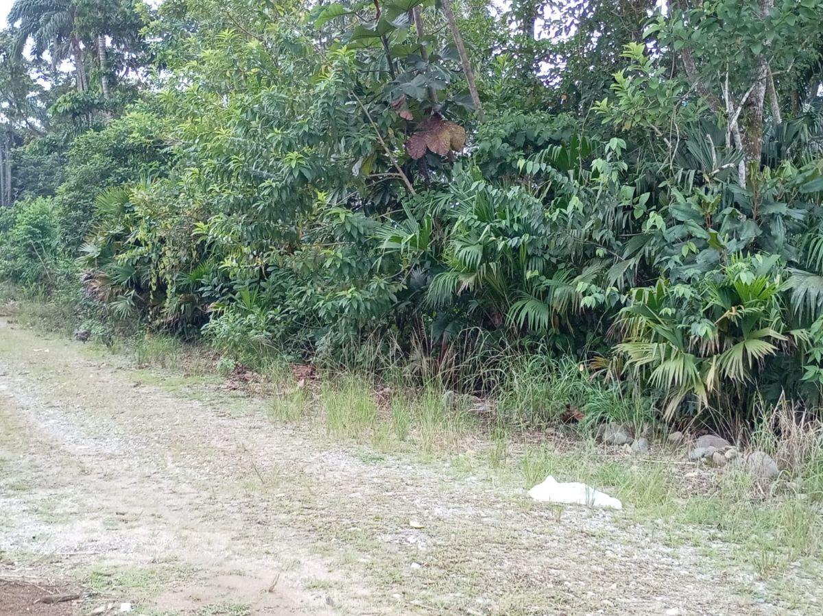 Terreno Turístico en La Ciudad de Tena, Napo — imagen 3