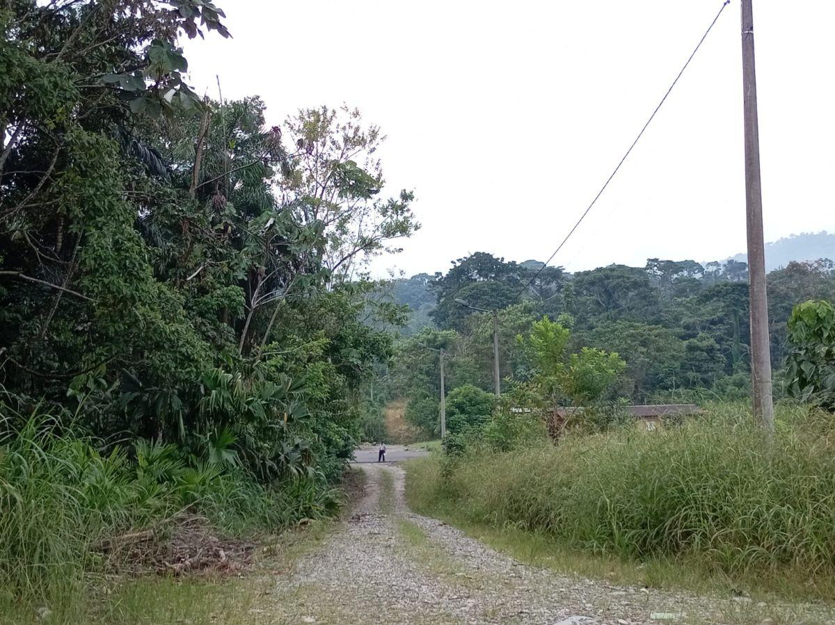Terreno Turístico en La Ciudad de Tena, Napo — imagen 2