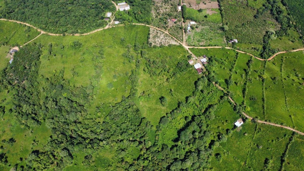 Se Vende Finca Ganadera de 45 Hectáreas en Pedro Vicente Maldonado Km 104 — imagen 8