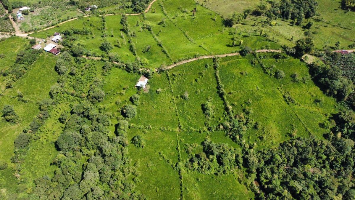 Se Vende Finca Ganadera de 45 Hectáreas en Pedro Vicente Maldonado Km 104 — imagen 7