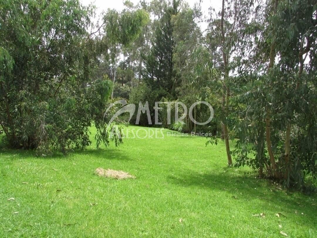 Terreno en Venta 12.036 m² Valle de Los Chillos Capelo — imagen 9