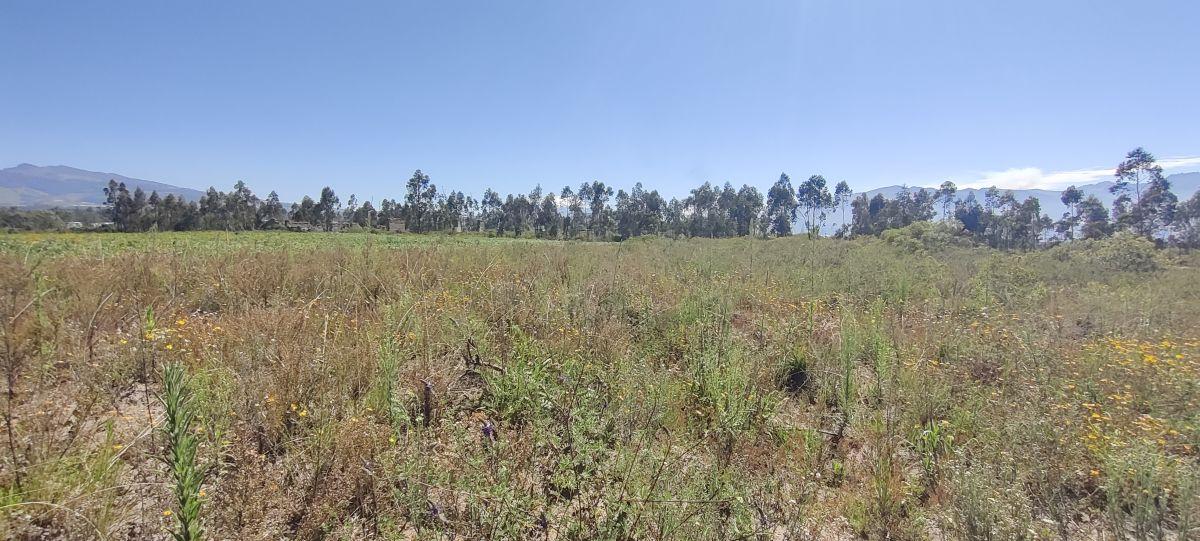 Terreno de Venta en Malchingui Sector Exclusivo /. Land For Sale in Malchingui Exclusive Sector — imagen 8
