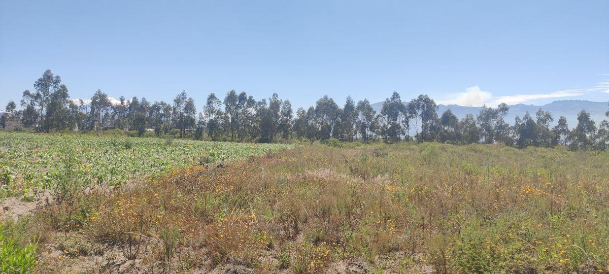Terreno de Venta en Malchingui Sector Exclusivo /. Land For Sale in Malchingui Exclusive Sector — imagen 7