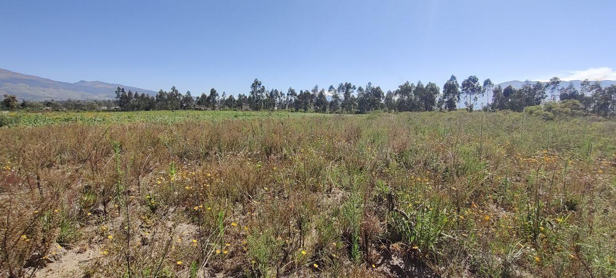 Terreno de Venta en Malchingui Sector Exclusivo /. Land For Sale in Malchingui Exclusive Sector — imagen 2