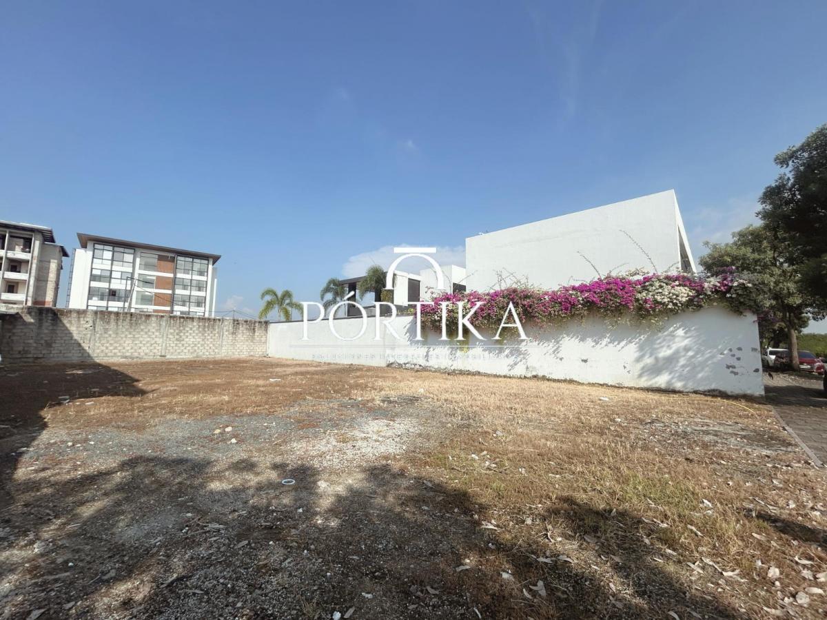Venta Terreno Frente Al Area Social - Isla Mocoli Isola - Samborondon, Guayas — imagen 10