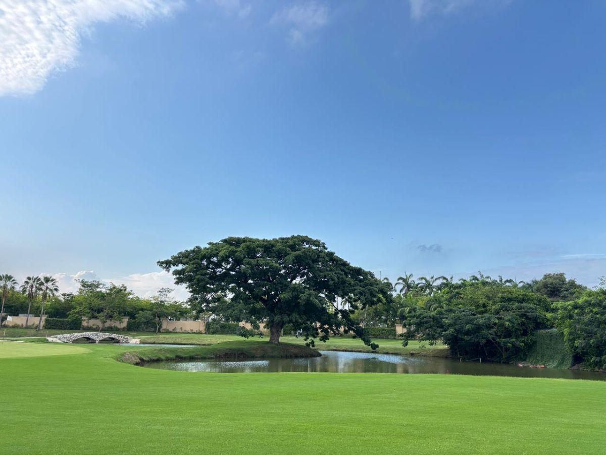 Terreno en Venta en Samborondon en La Isla Mocolí 1065 m² Campo de Golf, Guayas — imagen 6