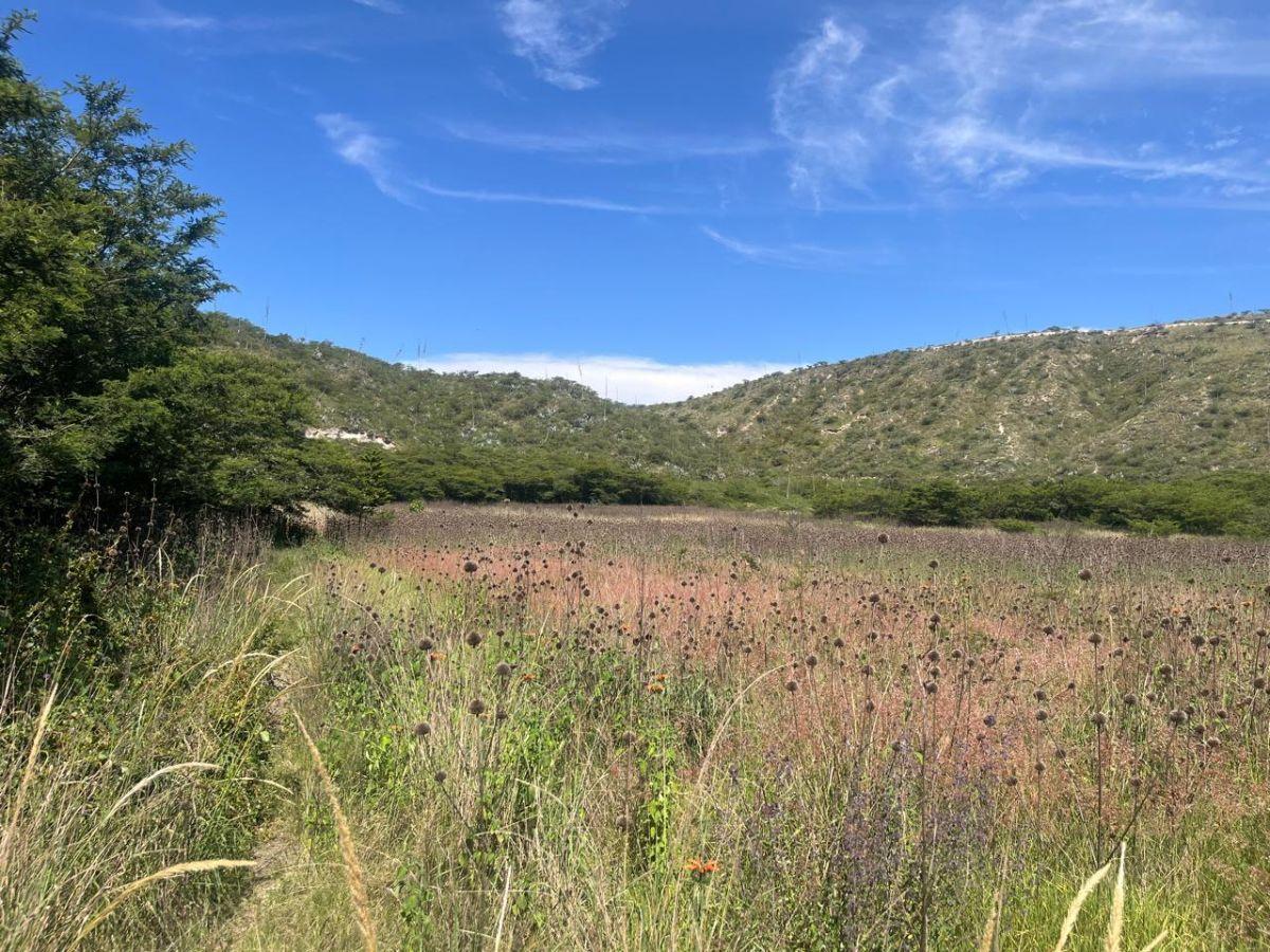 Vendo Hermoso Terreno Ubicado en El Sector de Guallabamba — imagen 5