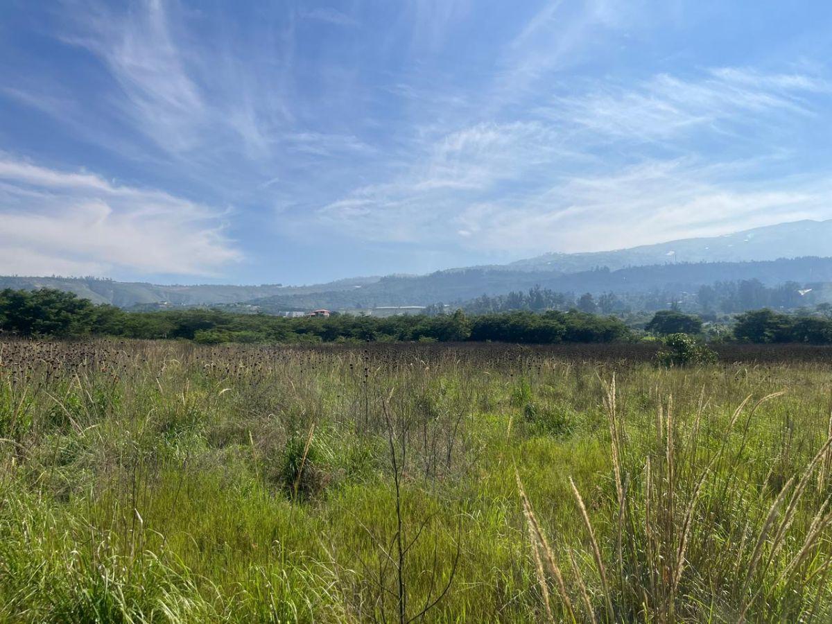 Vendo Hermoso Terreno Ubicado en El Sector de Guallabamba — imagen 4
