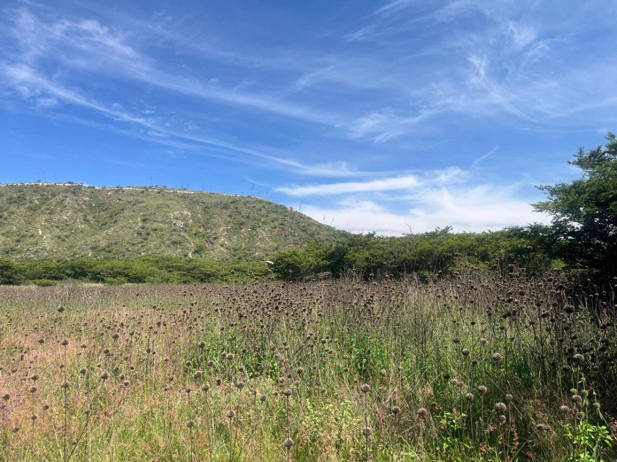 Vendo Hermoso Terreno Ubicado en El Sector de Guallabamba — imagen 2