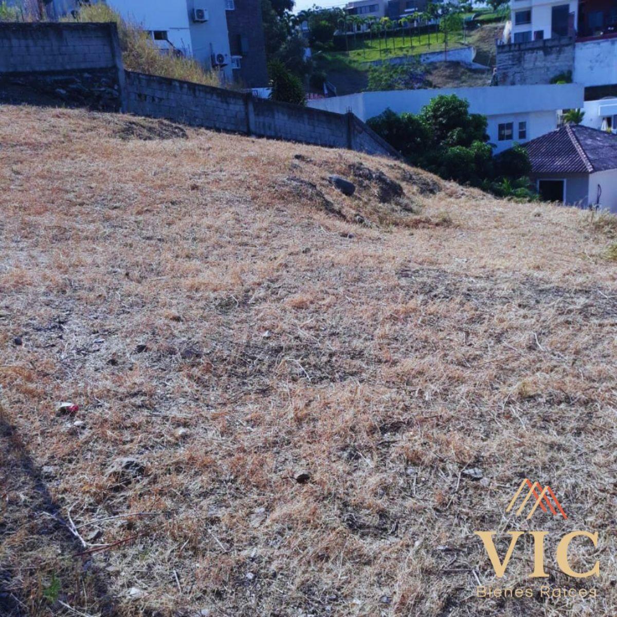 Se Vende Terreno de 250 m² en Ceibos Norte, Guayas — imagen 5