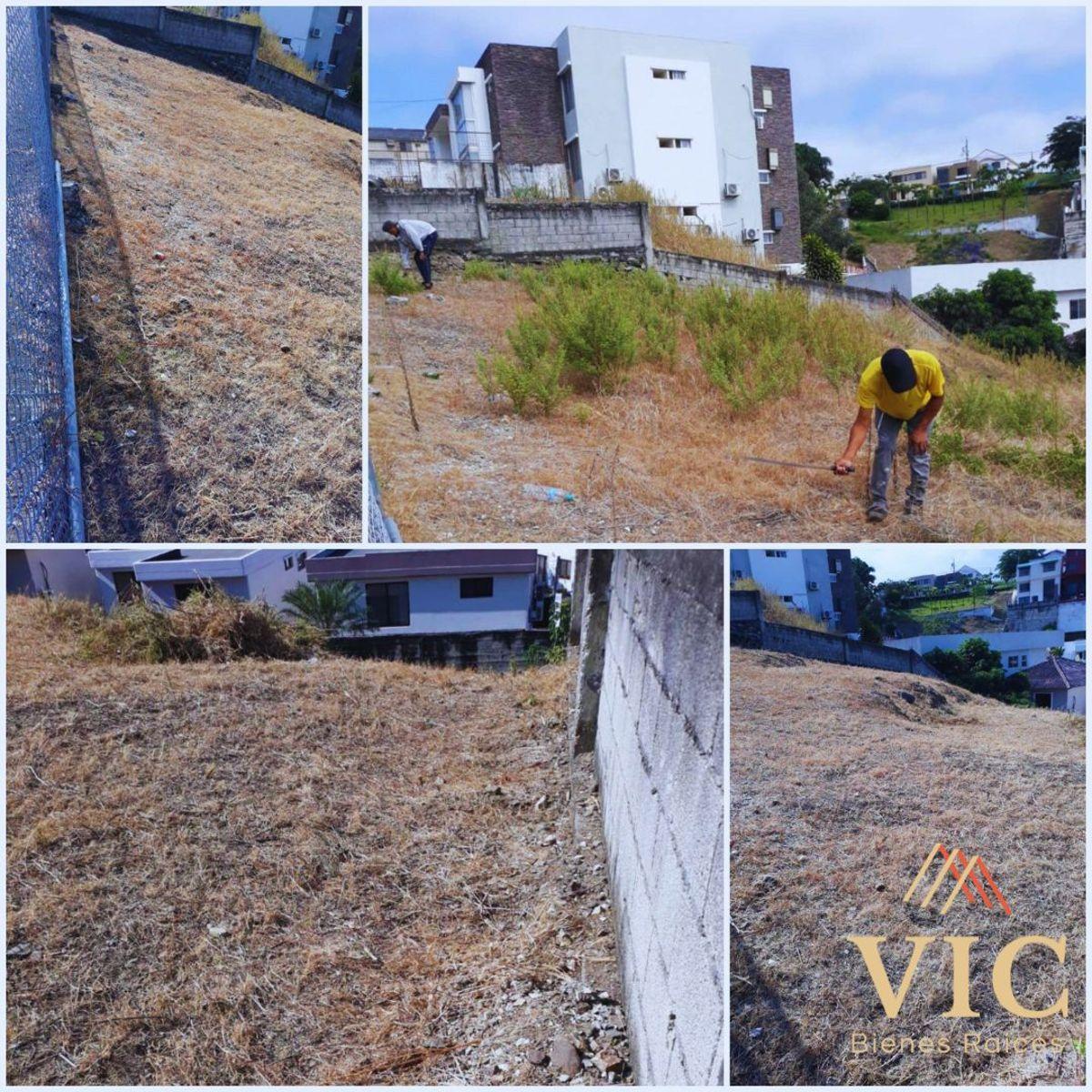 Se Vende Terreno de 250 m² en Ceibos Norte, Guayas — imagen 2