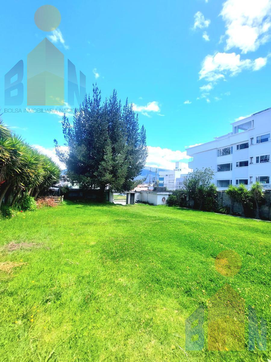 Vendo Casa Terreno 800 m 6 Pisos Monteserrin Academia Cotopaxi Se Acepta Canje — imagen 10