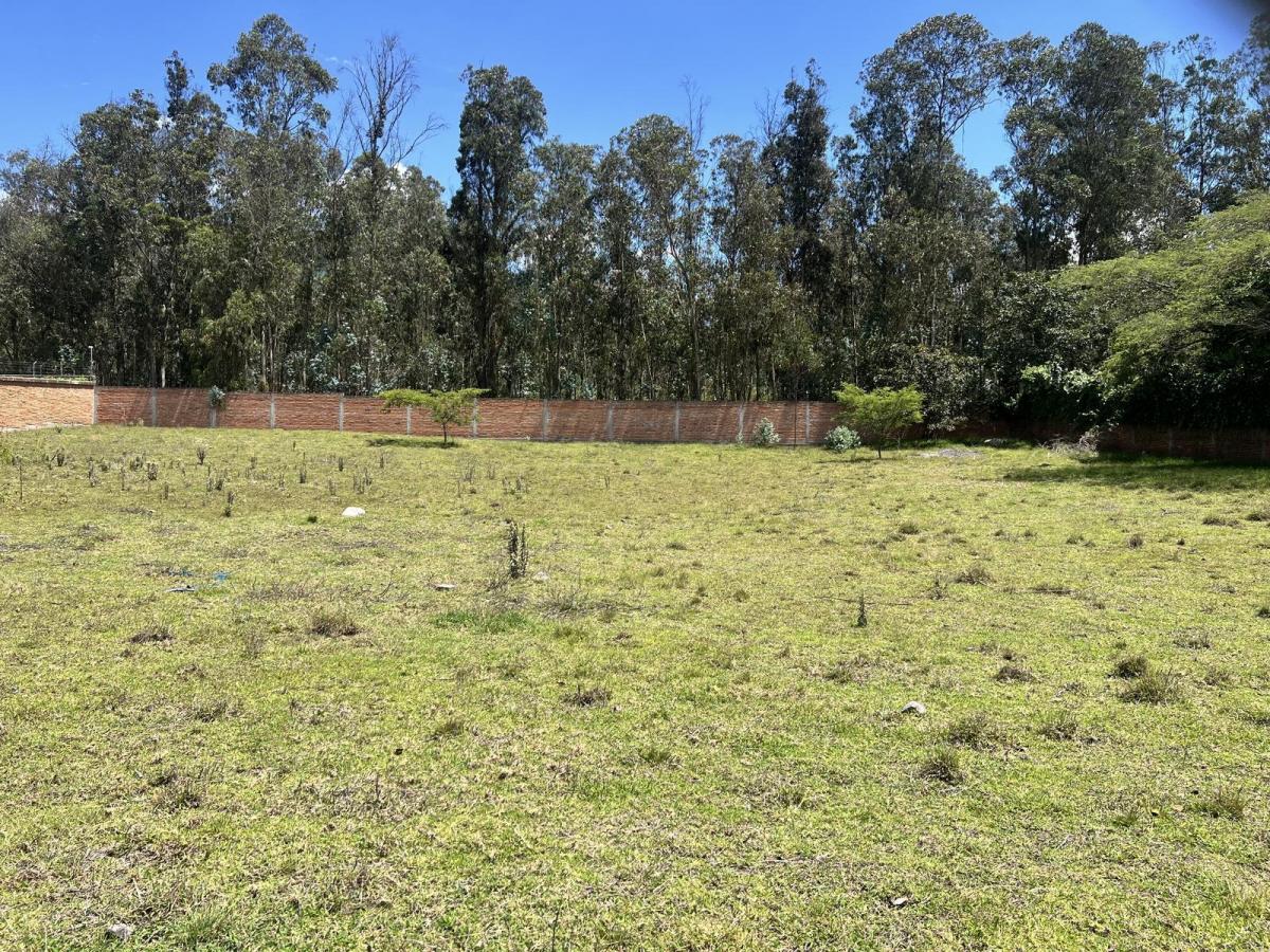 Terreno de Venta Ideal Para Constructor, Ubicado en Nayón, Dentro de Urbanización — imagen 6