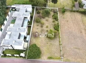 Puembo - Via Marquesina 1383 m² en Venta Terreno Multifamiliar — imagen 5