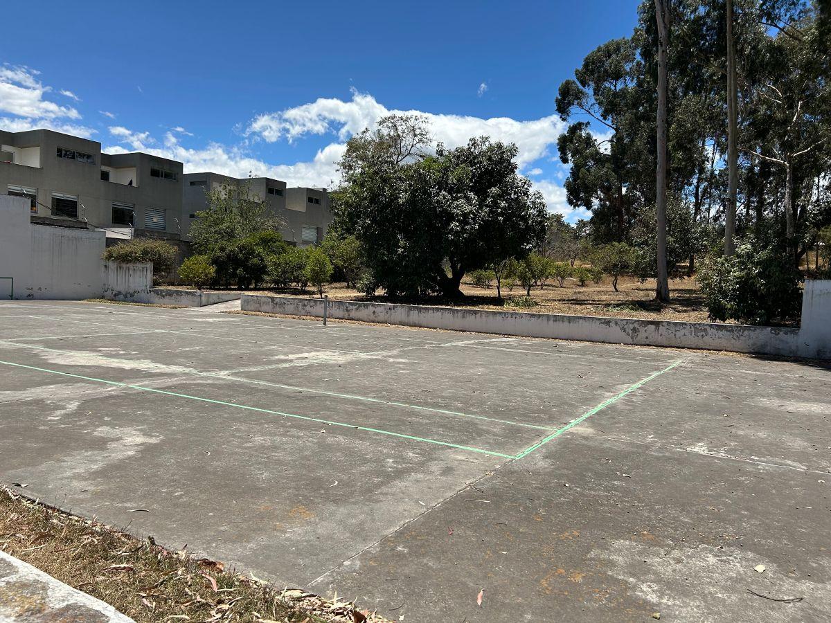Espectacular Terreno Plano en Tumbaco Sector Posterior a Kywi — imagen 6