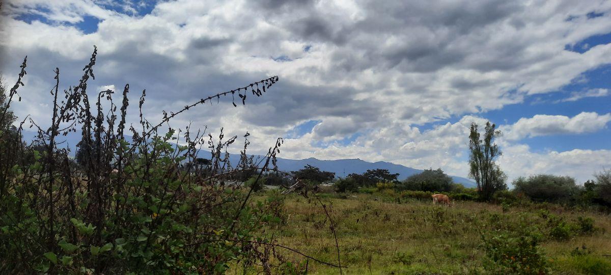 Vendo Lindo Terreno de 5480 m en Checa — imagen 9