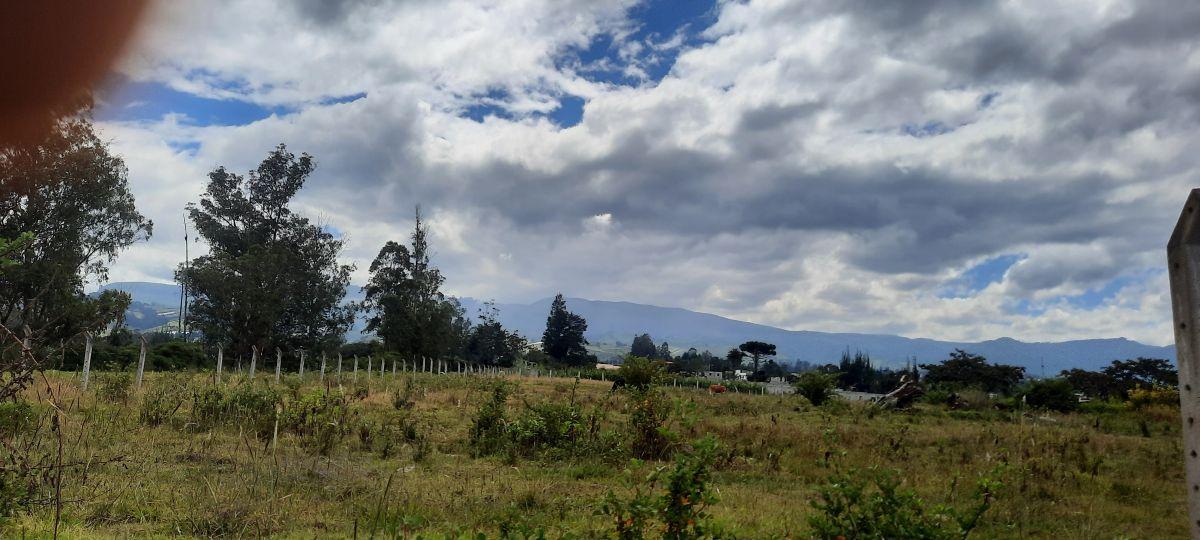 Vendo Lindo Terreno de 5480 m en Checa — imagen 8