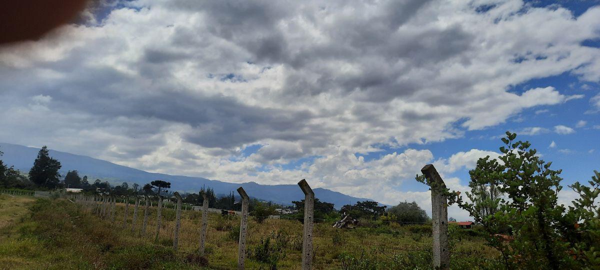 Vendo Lindo Terreno de 5480 m en Checa — imagen 7