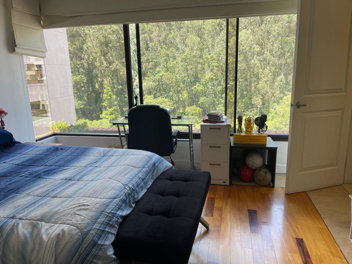Vendo Lindo Dep en El Bosque 339,70 m² 3 Dorm $250.000 — imagen 4