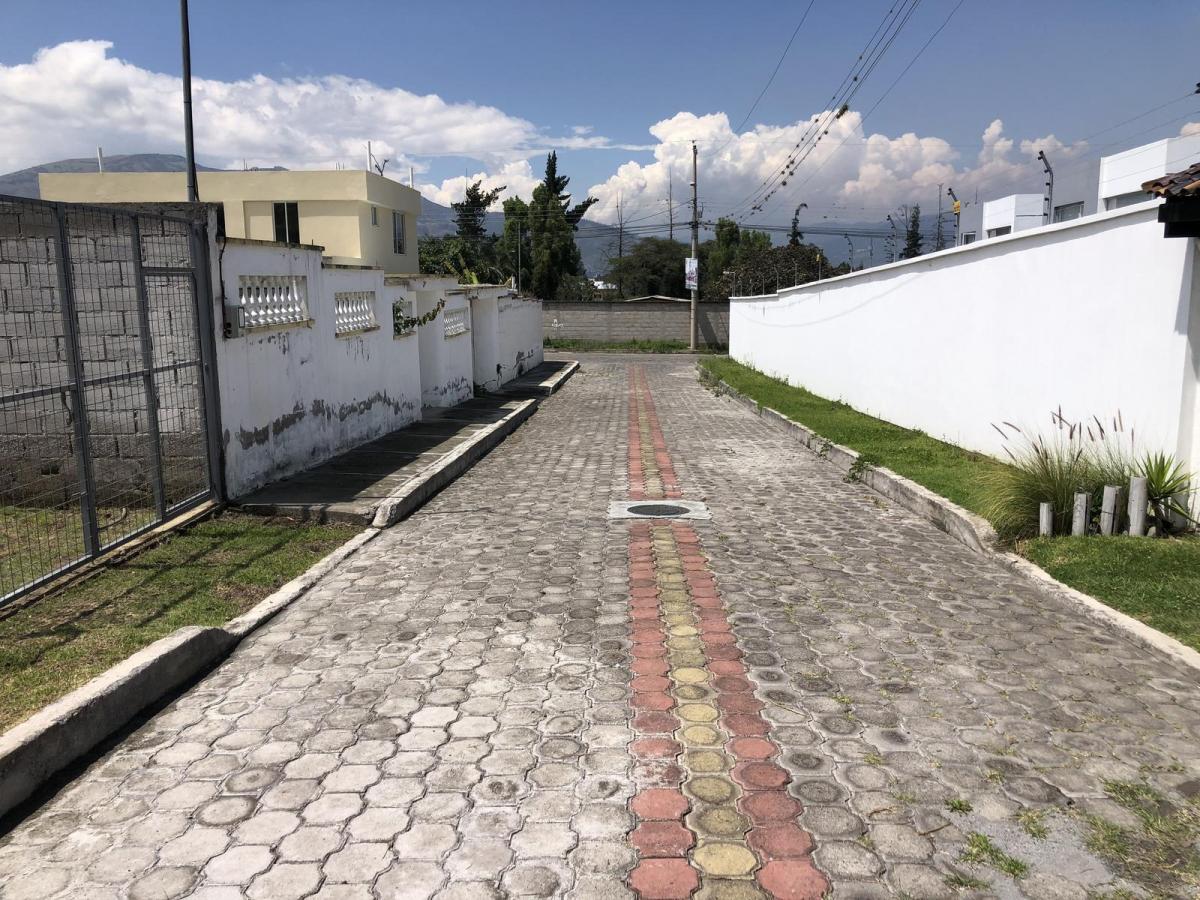 Terreno de Venta en Tumbaco. Sector Hilacril. Ideal Para Pequeños Proyecto o Casa Particular — imagen 8