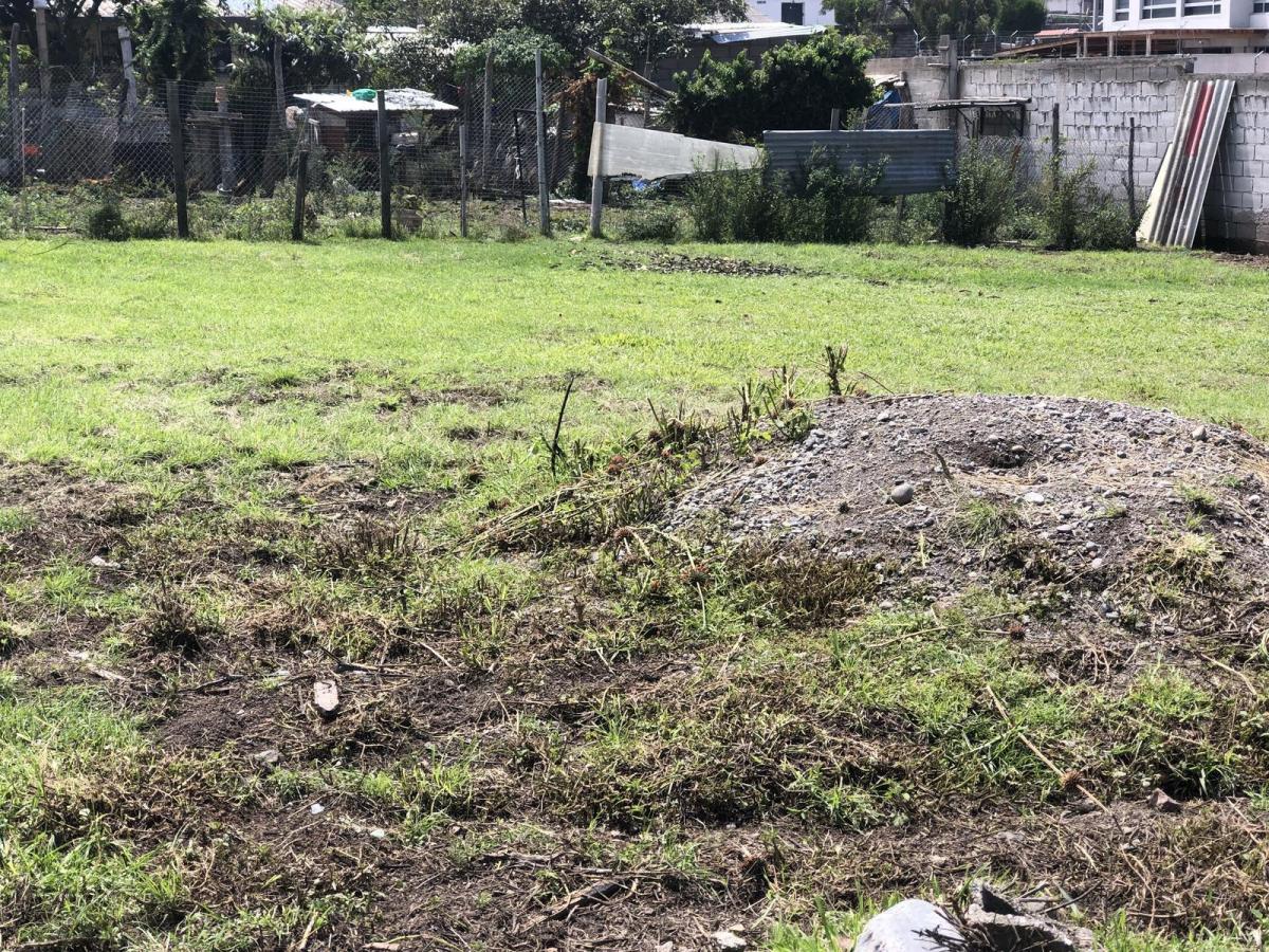 Terreno de Venta en Tumbaco. Sector Hilacril. Ideal Para Pequeños Proyecto o Casa Particular — imagen 6