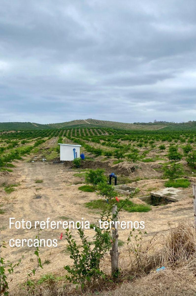 Terreno Agrícola en Venta 21has en Vía a La Costa Km 30 C Alvarez, Guayas — imagen 10