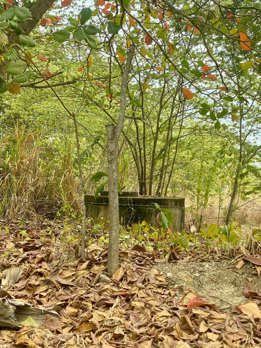 Terreno Agrícola en Venta 21has en Vía a La Costa Km 30 C Alvarez, Guayas — imagen 4