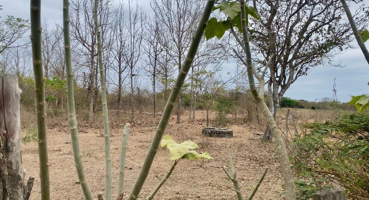 Terreno Agrícola en Venta 21has en Vía a La Costa Km 30 C Alvarez, Guayas — imagen 3