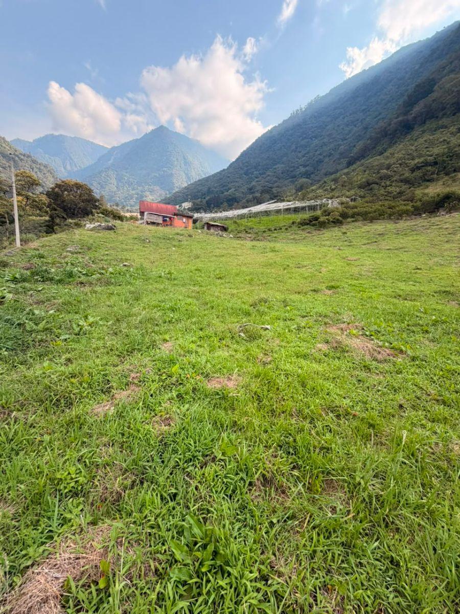 Terreno de 5.4 Has Runtún Puntzan, Tungurahua — imagen 8