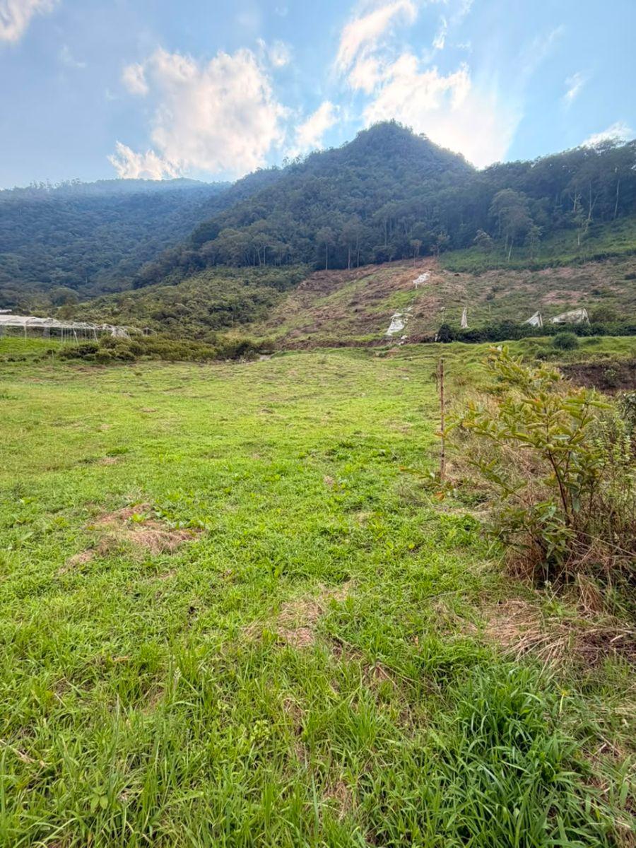 Terreno de 5.4 Has Runtún Puntzan, Tungurahua — imagen 7
