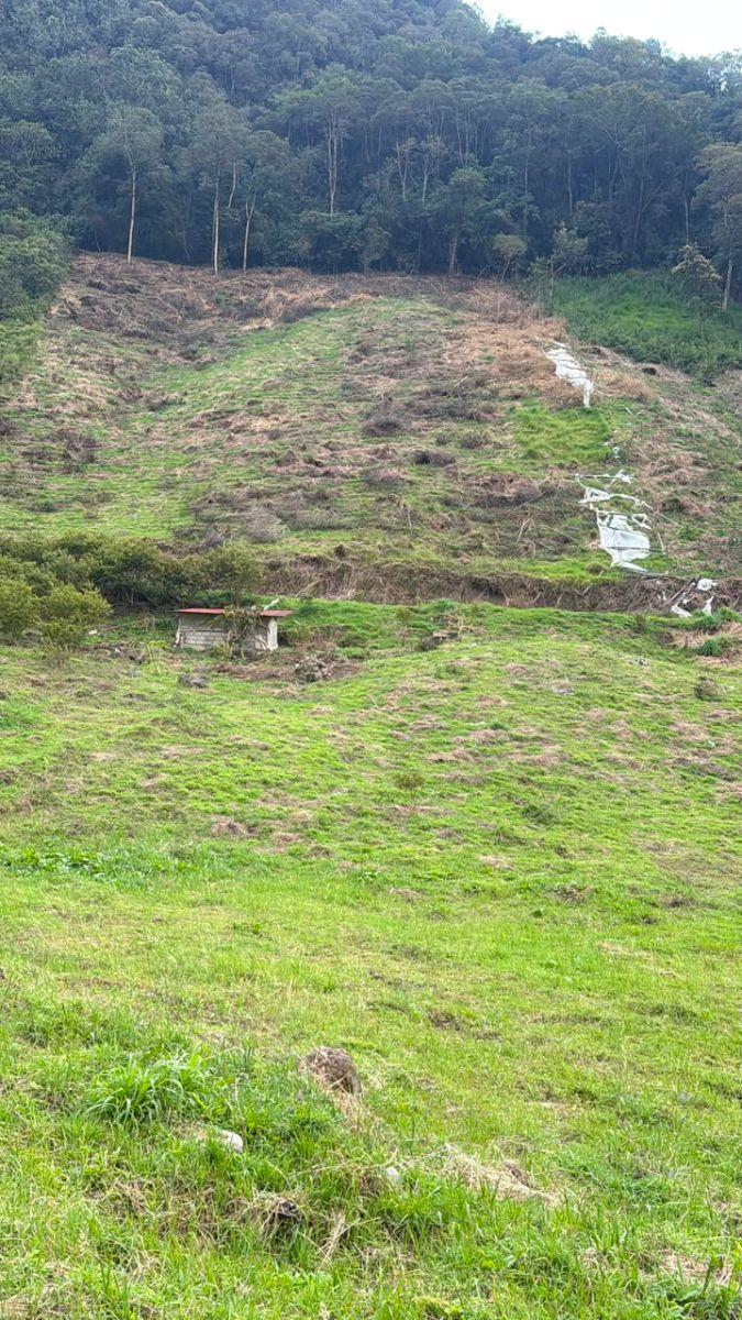 Terreno de 5.4 Has Runtún Puntzan, Tungurahua — imagen 6