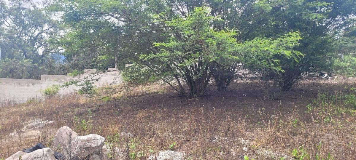 Venta Terreno Nayon Tanda 2.300 m² — imagen 5